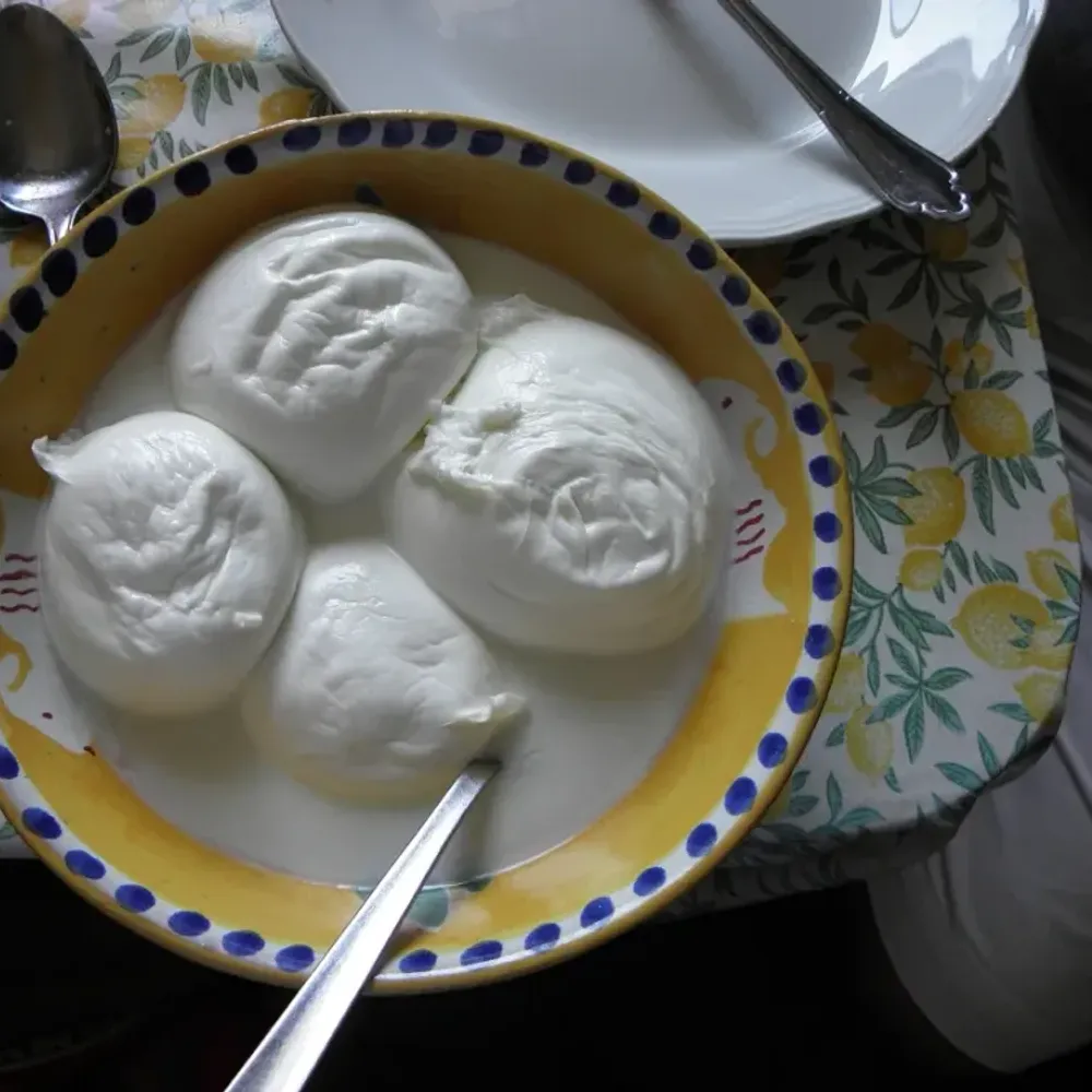 Mozzarella di Bufala Campana DOP